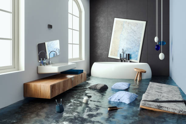 Best Water damage cleanup near me  in Stony Prairie, OH