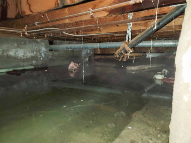 Best Ceiling water damage repair  in Stony Prairie, OH