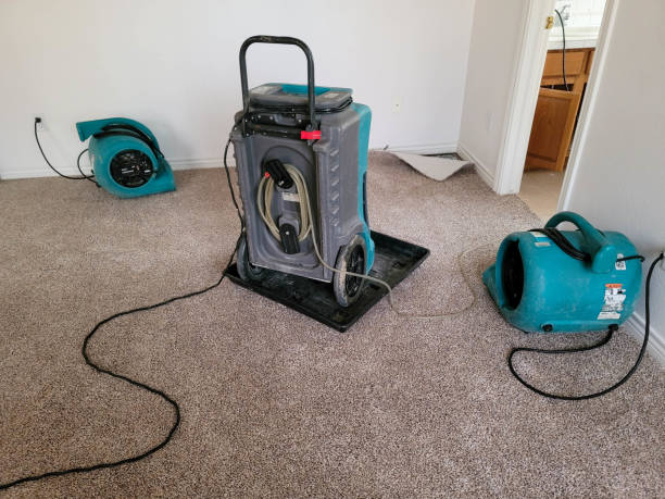 Reliable Stony Prairie, OH Water damage restoration Solutions