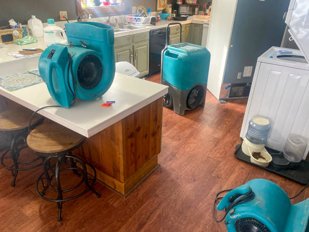 Best Carpet water damage restoration  in Stony Prairie, OH