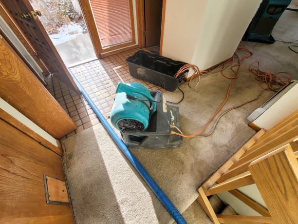 Reliable Stony Prairie, OH Water damage restoration Solutions