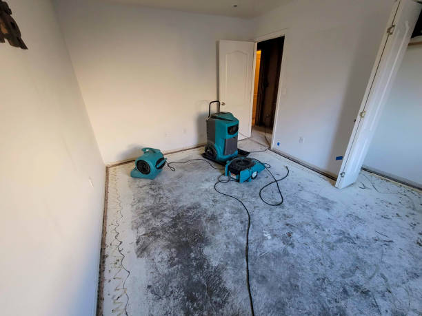 Best Residential water damage restoration  in Stony Prairie, OH