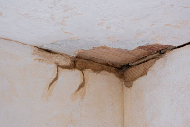 Best Water damage contractors near me  in Stony Prairie, OH