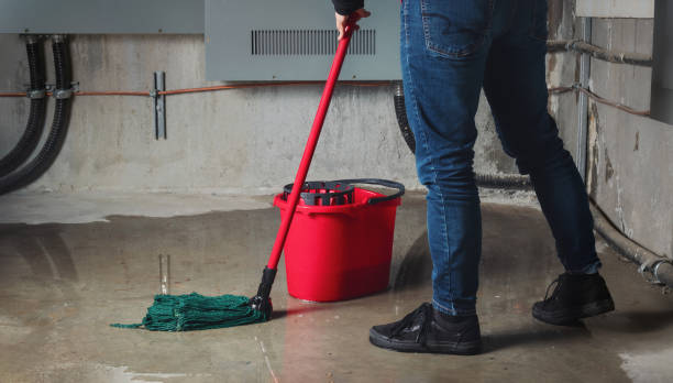 Best Commercial water damage restoration  in Stony Prairie, OH