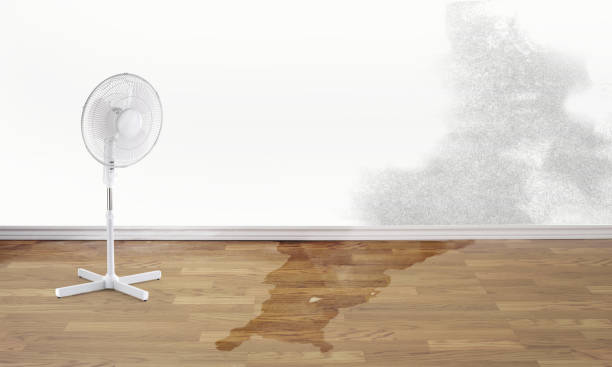Best Water damage restoration mold remediation  in Stony Prairie, OH