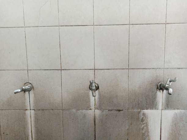 Best Water damage mitigation services  in Stony Prairie, OH