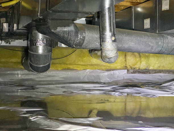 Best Sewage cleanup and water damage restoration  in Stony Prairie, OH