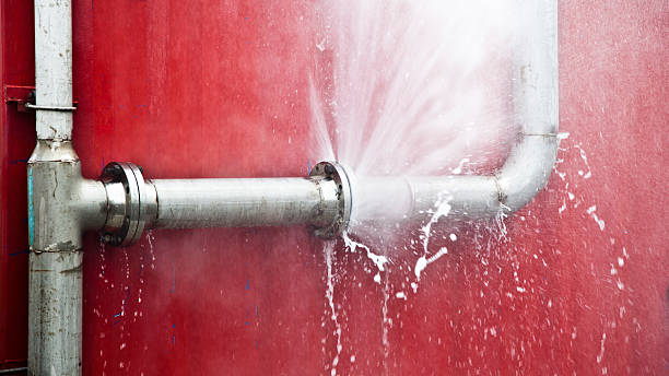 Best Professional water damage repair  in Stony Prairie, OH