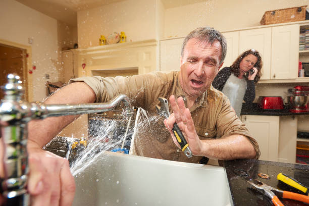 Best Mold removal after water damage  in Stony Prairie, OH